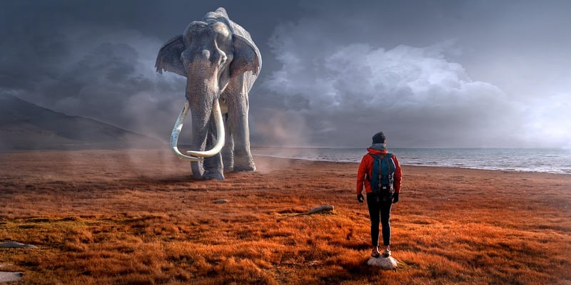 Mythical Creature Encounter